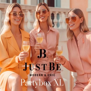 Парти кутия JustBe / Partybox JustBe - XL